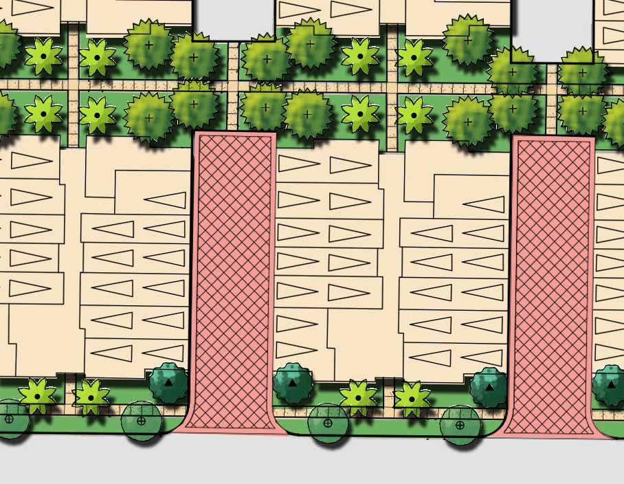 Paseo Walk Groundcover Enhanced Vehicular Paving Street Trees Walk Canary