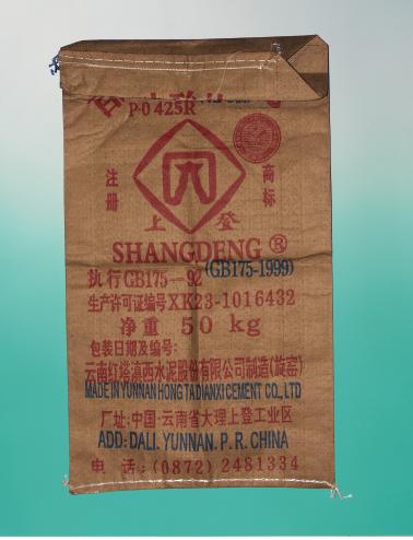 bag for 50 kg - inside paper, outside woven PP Sewn valve bag with tube
