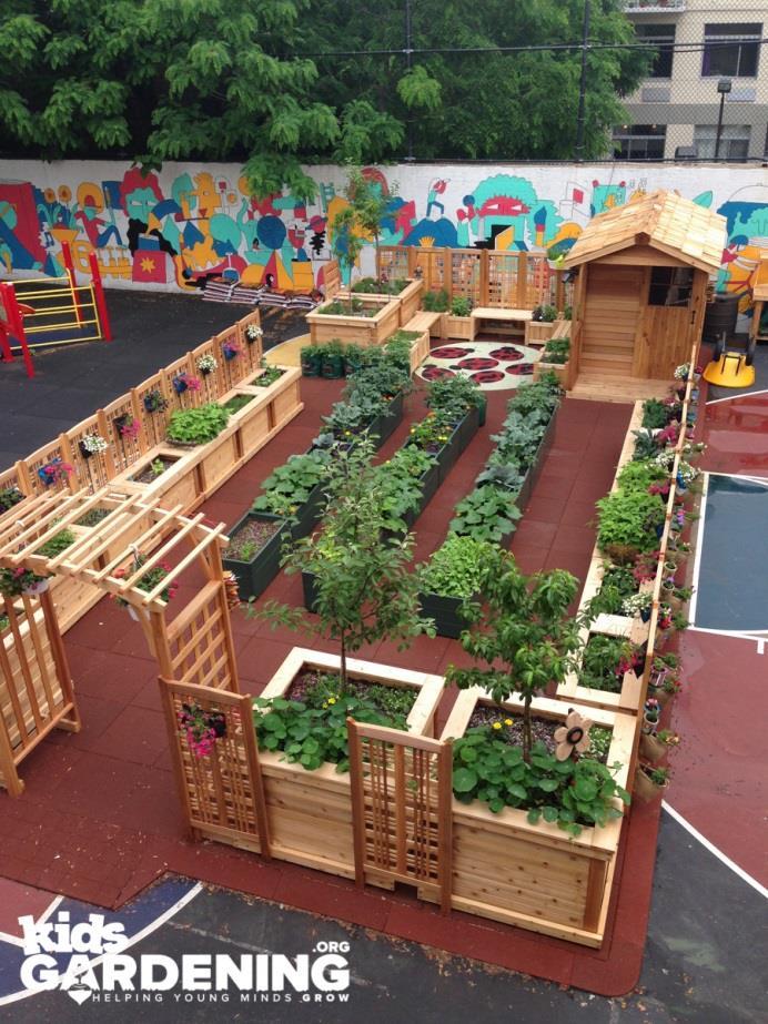 Understand the vital role Landscape Architects play in the development of gardens, outdoor environments and momentum for a Garden In Every School.