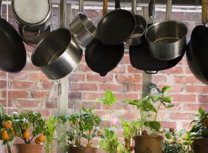 Kitchen Use your window as a suspended kitchen garden, storing your herbs, succulents or small vegetables.