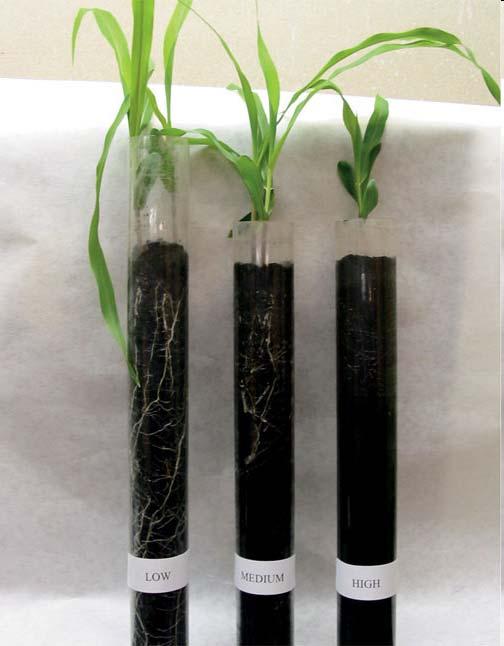 Soil oxygen Pore space is important for
