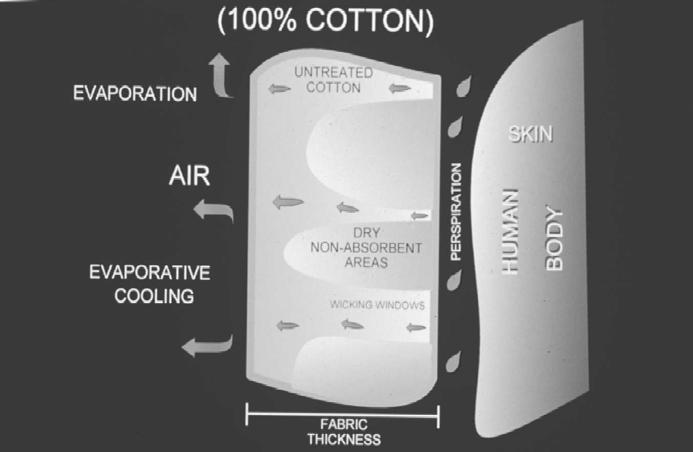 the absorbent capacity of cotton on the order of 5-20% or more. Resins reduce the amount of water held inside the fiber.
