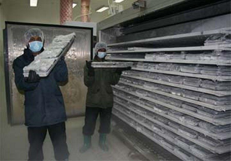 Plate Freezers Plate freezing involves bringing the food product in direct contact with plates that