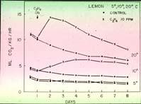 Non-climacteric Chilling sensitive Respiratory response of lemons to