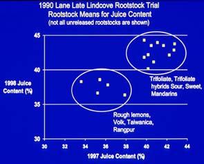 The influence of rootstock on juice content (M.