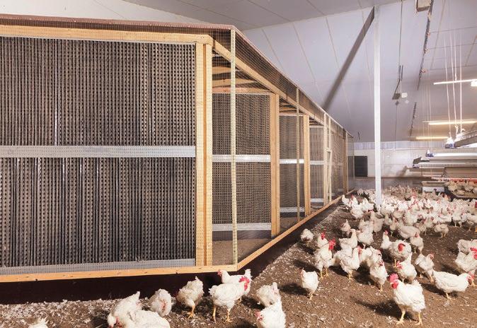 StuffNix the efficient and cost-effective dust filter StuffNix is a dust filter designed by Big Dutchman for use in poultry houses with high dust loads.