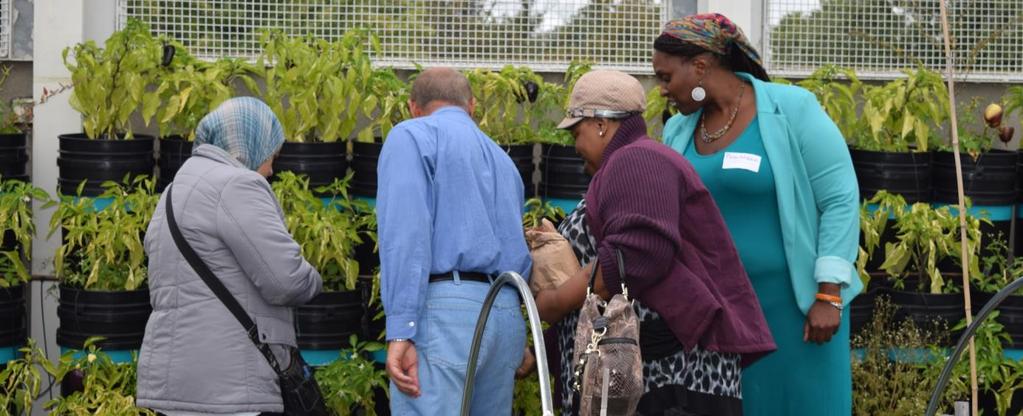 Flemingdon Park and Gordonridge gardeners explore planters at Eastdale Collegiate Institute market garden during an urban agriculture bus tour of Toronto led by FoodShare staff.
