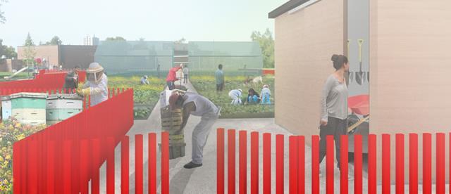Perspective rendering for Gordonridge showing market garden activities