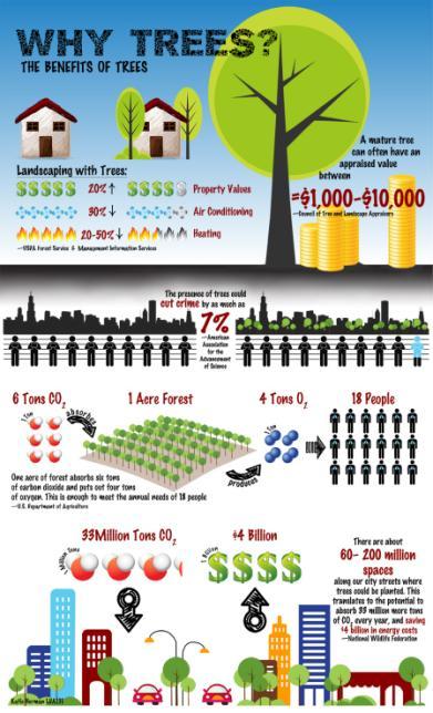 Urban Tree Benefits Local climate and energy use Air quality Climate change Water flow and quality Noise abatement Wildlife and biodiversity Soil quality Real estate