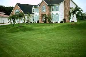 Preparing Your Lawn for Spring and Summer.