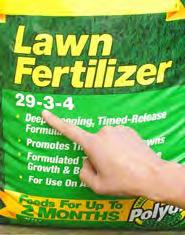 Fertility The most common fertilizers are the complete fertilizers - nitrogen, phosphorus and potassium