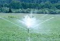 Irrigation Turf should be irrigated before it shows signs