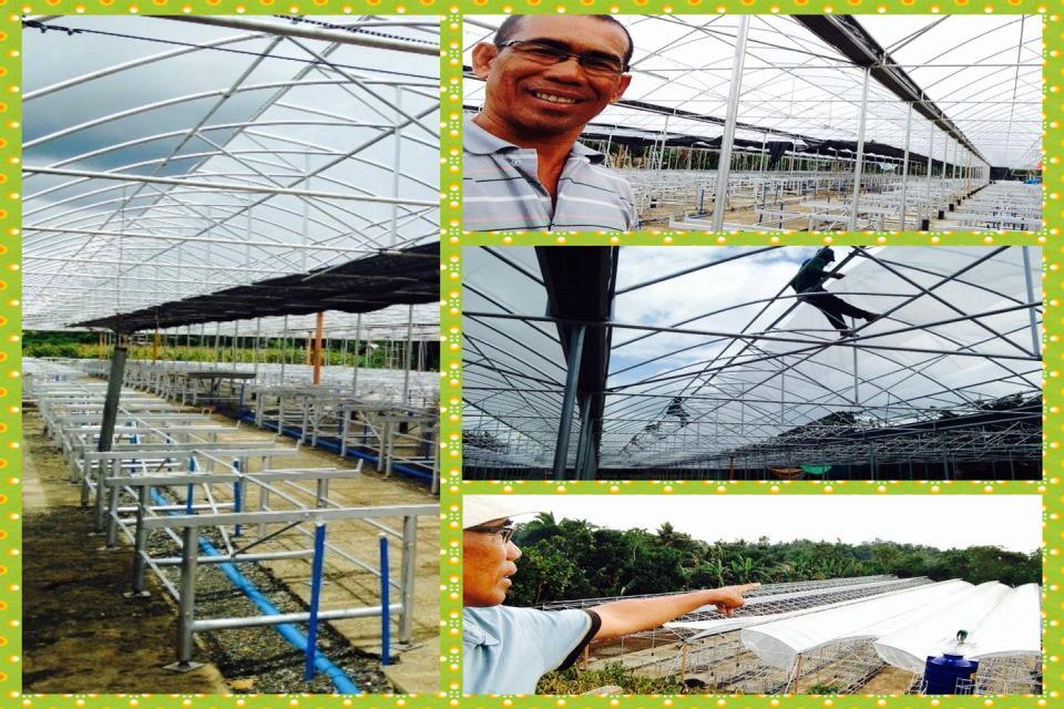 nursery section with complete irrigation system including computerized timer TOTAL PROJECT COST: 50mx50m