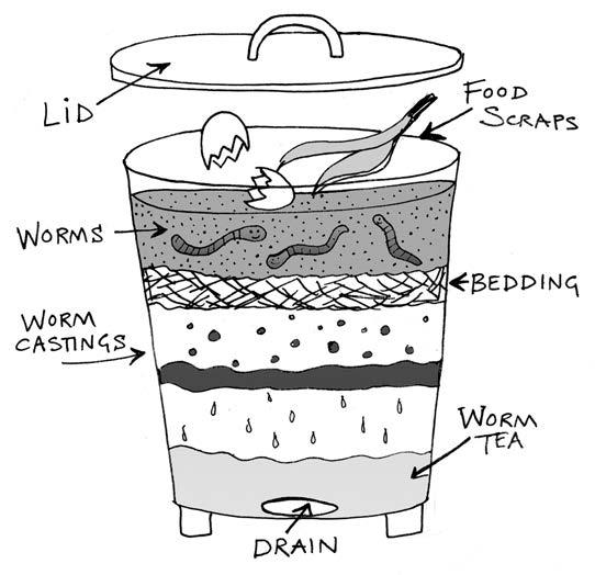 How to create a worm composting system What you ll need: A plastic bin with a lid Newspaper or straw Worms Drill Wooden blocks or bricks Step 1 Drill holes in the bin for ventilation.
