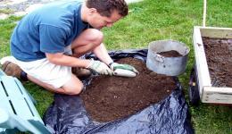Worm and Castings Harvest Useful Information under ideal conditions: A pound of composting worms
