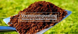 Vermicomposting Vermiculture The