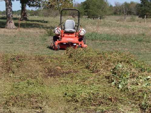 Compost Requirements 4. Small Particle Size Use wood chipper or mower 5.