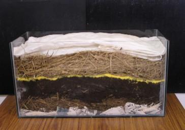 Worm Bedding needed to hold moisture protect