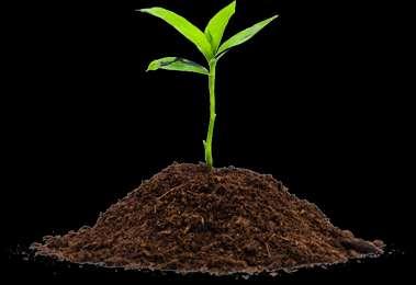 Compost = Improves soil structure, improves nutrient holding capacity of soil, supports