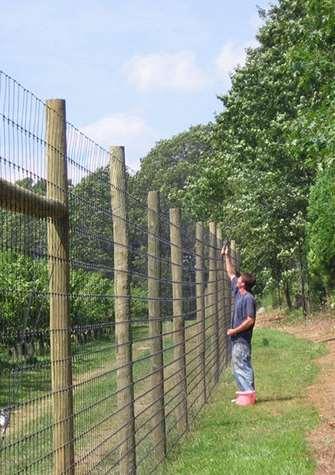 Fencing only effective method of keeping
