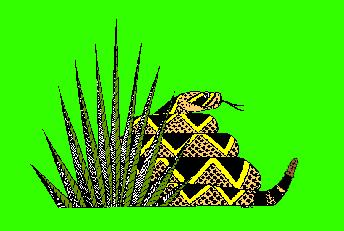 Gopher snake: Oregon