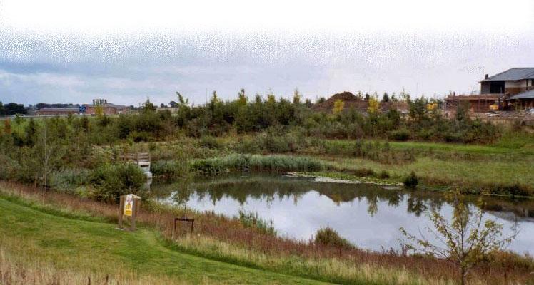 4. Landscaping Landscaping around SUDS ponds can add pollutants to the system.