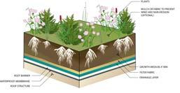 VEGETATED ROOFS: Definition and Types Thin layers of engineered soil and vegetation constructed on top of conventional flat or sloped roofs Types Green roofs Living