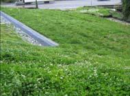 PAVEMENT VEGETATED ROOFS 5 6 7 CISTERNS 7 DISPERSION MINIMAL EXCAVATION FOUNDATIONS REVERSE SLOPE SIDEWALKS 146 DISPERSION: Definition and Types Vegetated areas that collect runoff from