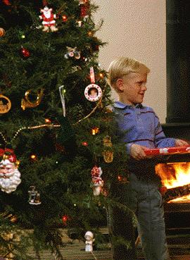 Christmas Fire Safety Hazards Dry Needles Fireplaces & Radiators Ornaments & Trimmings Frayed Wires & Broken/ Bulbs Overloaded Outlets Leaving The House/Going To Bed Controls Check For Freshness, Cut
