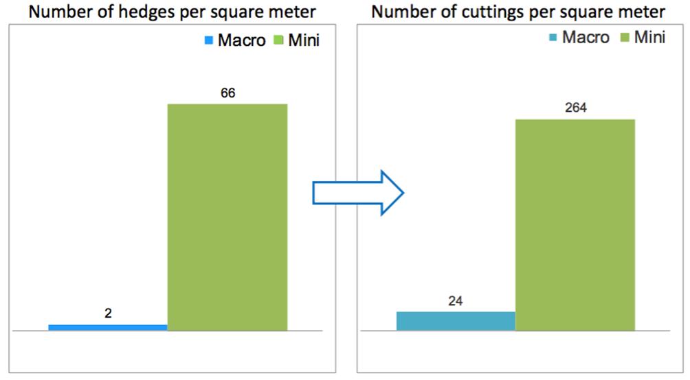 Figure 5. Number of hedges and number of cuttings m -2.