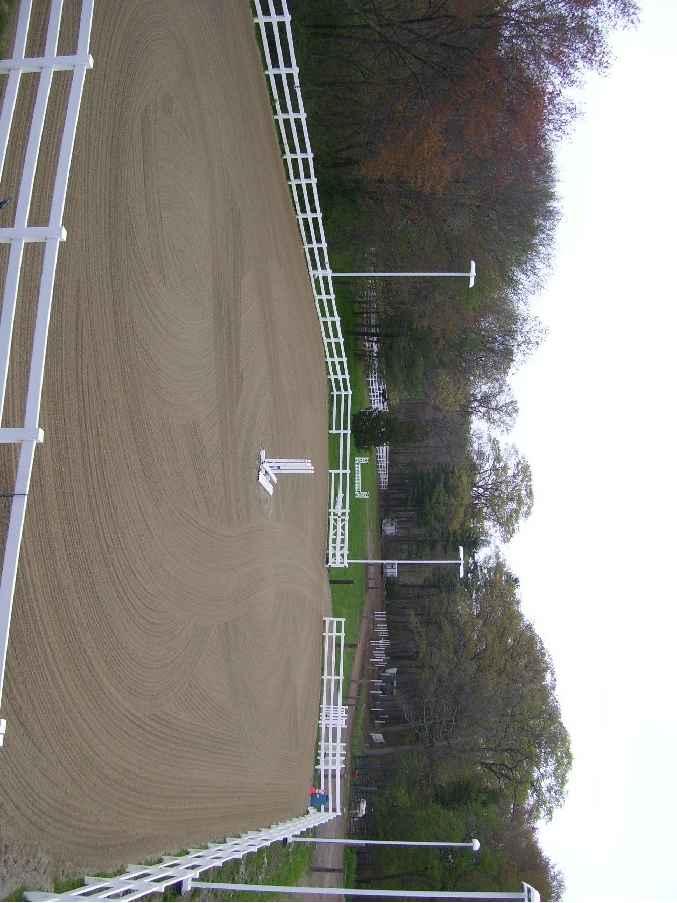 EXTERNAL HARD SURFACES 60 x 20m Indoor arena and viewing platform LEG END Concrete surface to main yard areas Resin bonded aggregate to parking and access road Porous paving to entrance and