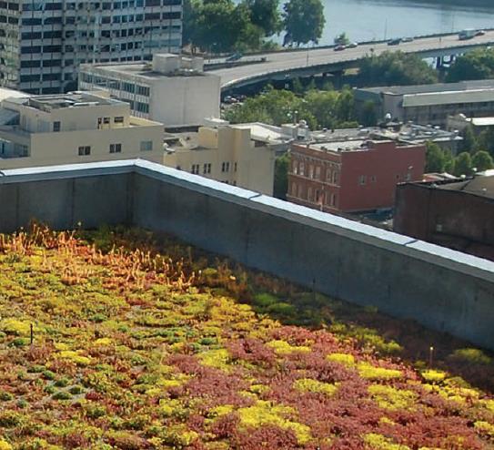 Literature Review Flood Prevention The City of Portland - Sustainable Stormwater Management Stormwater management Energy Climate Habitat Amenity Value Building Development 4,000m 2 of roof areas Roof