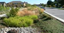 edu Soil mixes for bioretention areas need to balance three primary design objectives for