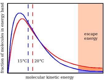 As soon as this happens, the remaining molecules re-distribute their energy by collision, moving towards the blue curve, representing a lower temperature, because the average molecular energy is