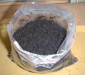 no foul odor Germination test: will seeds germinate in the