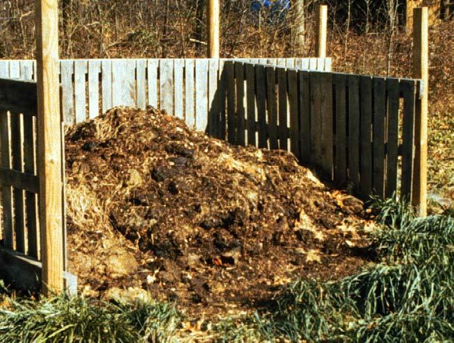 What do you need to make compost? Decomposers Your composting work crew.