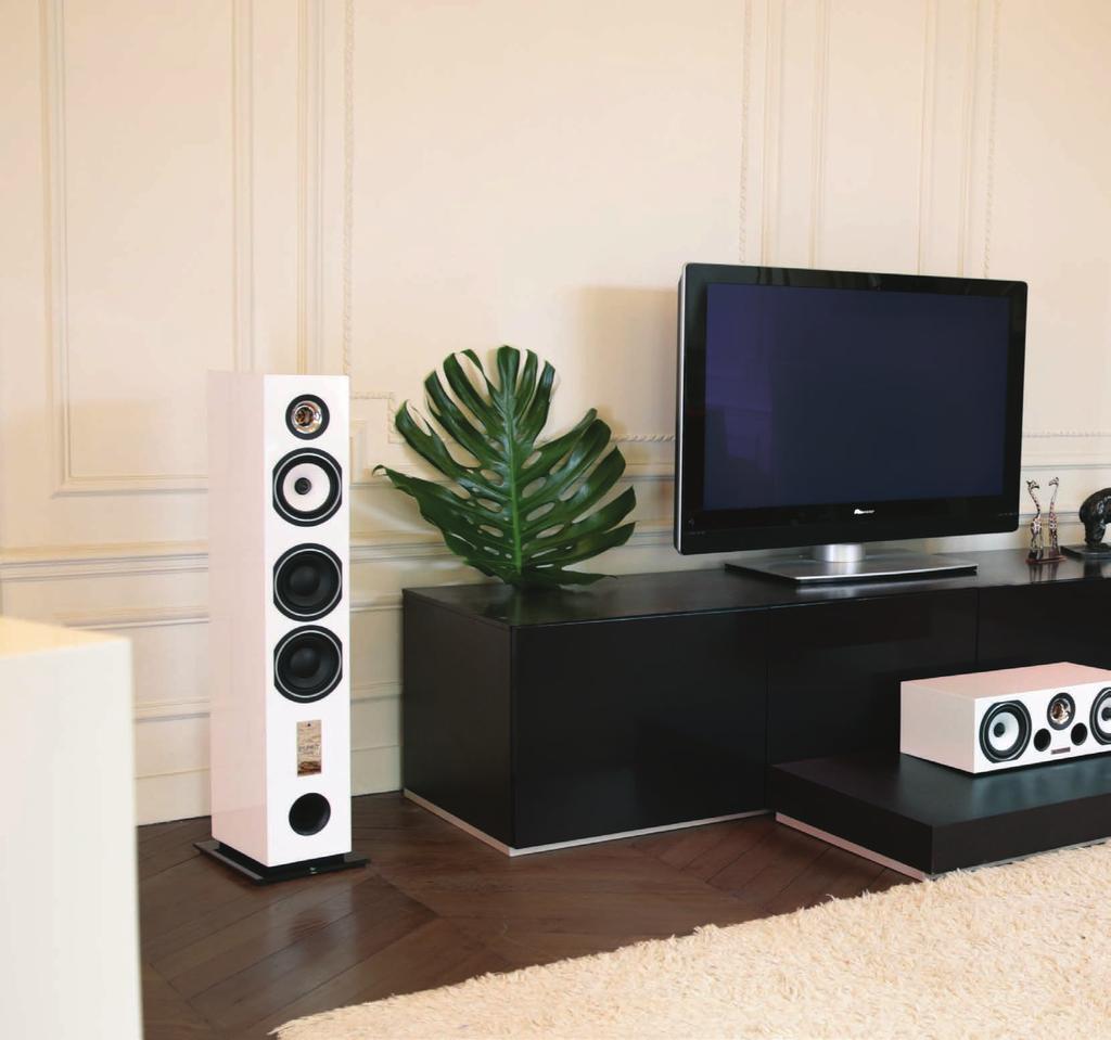 The ESPRIT Ez - series provides strong versatility both as a stereo system and as a home theatre system.