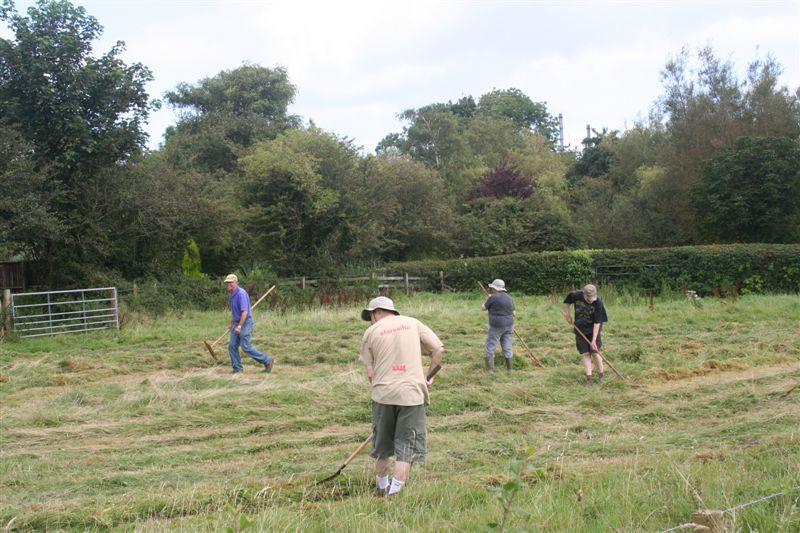Haymaking in the