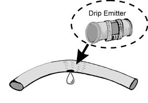 Drip Emitter Placement Tree Emitter Drip Wetting Pattern 24 to 36 wetting radius Drip Line Water Placement Water the soil Drip Tube 24 to 36