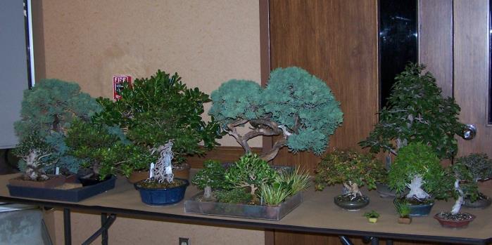 Bring your trees with wiring problems for show and tell and/or advice.