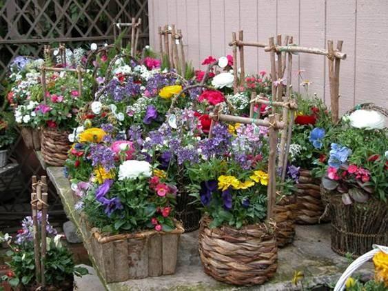Any garden center carries a myriad of styles,