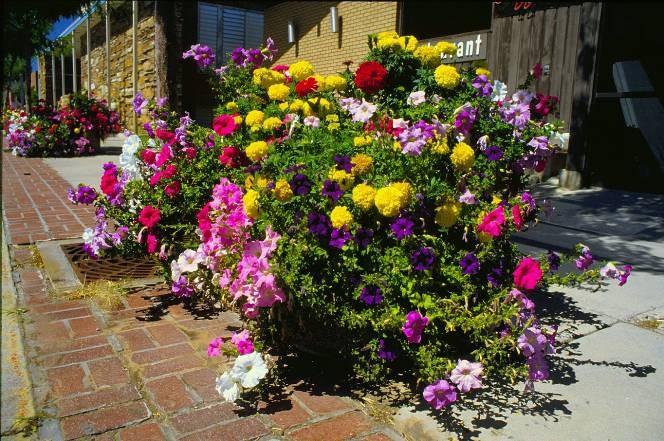 Use containers that are at least 16 in diameter and hold