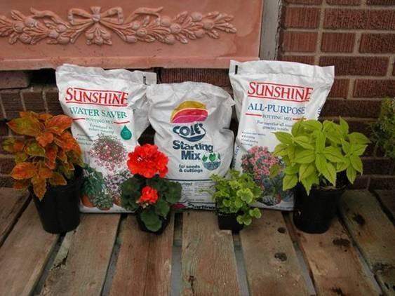 These soil-free mixes or peat-based soils are light