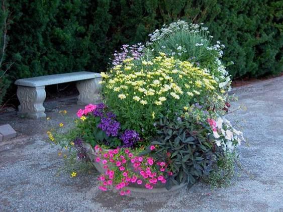 When growing container gardens,