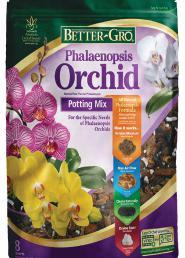 Oncidium, and Dendrobium seedlings.