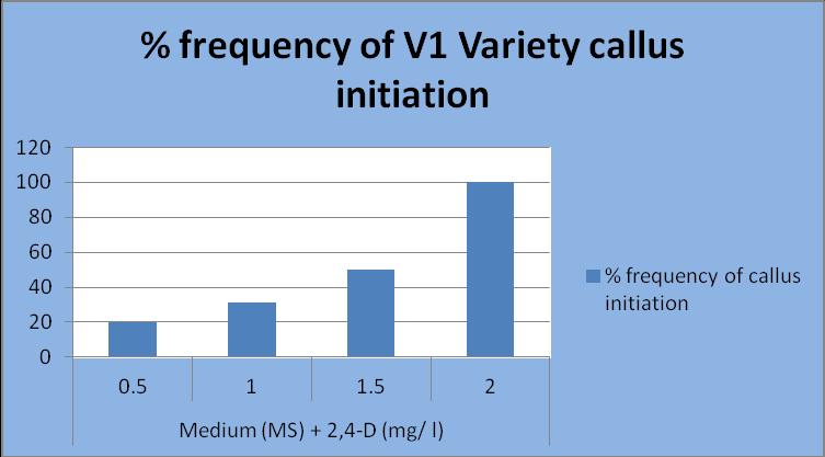 Table 4.6: Effect of different concentrations of 2, 4-D 1 (MS medium) % frequency of callus initiation after 20 days in V1. % frequency of callus initiation 1 0.5 20 2 1 31 3 1.