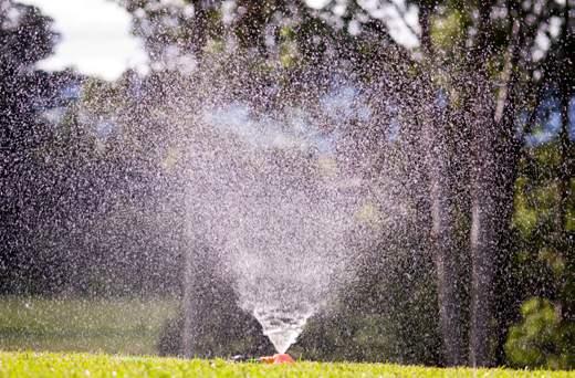 process Quick tips Watering Mowing Fertilising Other Watering Watering is highly important in the initial stage of establishing lawn. Water your lawn everyday for the next weeks.