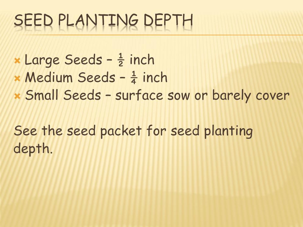 Another rule is to plant the seed 2-3 times