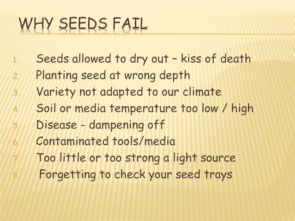 1. Water container from the bottom; top watering may dislodge seedlings. 2. 3 times the diameter of the seed as a rule; small, fine seed on the surface. 3. Don t seed out plants that DO NOT GROW HERE.