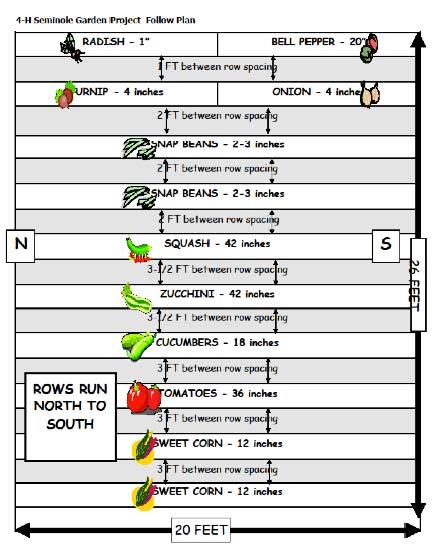 Map (Follow Plan) vegetable grown Corn Tomatoes Cucumbers
